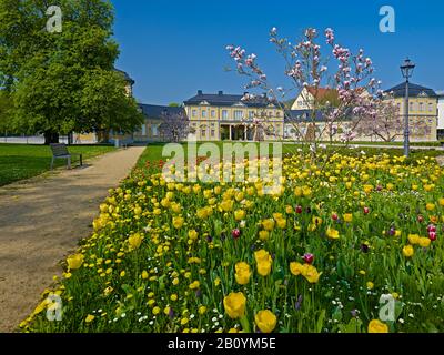 Orangery avec tulipes à Gera, Thuringe, Allemagne, Banque D'Images