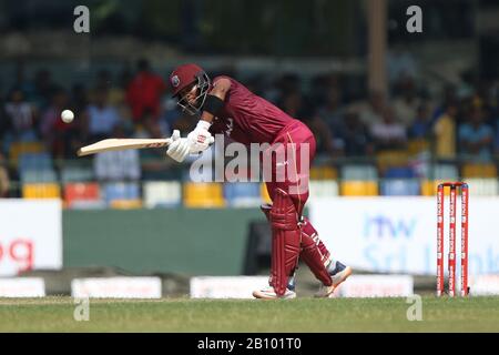 Colombo, Sri Lanka. 22 février 2020. Le terrain de cricket du Club sportif cinghalais, Colombo, Sri Lanka; un jour de cricket international, Sri Lanka contre Antilles; Shai Hope frappe quatre pistes jusqu'à la frontière. Crédit: Action Plus Sports Images/Alay Live News Banque D'Images