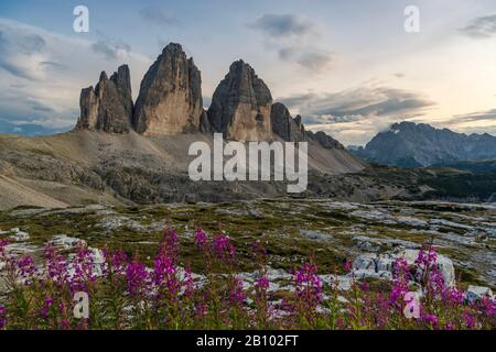 Trois Pinnacles Au Coucher Du Soleil, Trois Peaks Nature Park, Sexten Dolomites, Tyrol Du Sud, Italie Banque D'Images