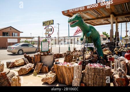 Bois Pétrifié, Holbrook, Route Historique 66, Comté De Navajo, Arizona, États-Unis Banque D'Images