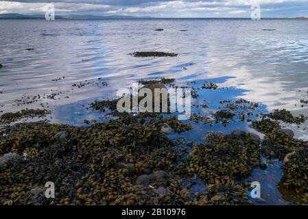 Seascape Moray Firth Pâques Ross Ecosse Royaume-Uni Banque D'Images