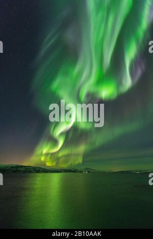 Feux du Nord sur Stønesbotn la nuit, Senja, Norvège Banque D'Images