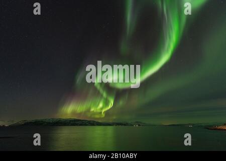 Feux du Nord sur Stønesbotn la nuit, Senja, Norvège Banque D'Images