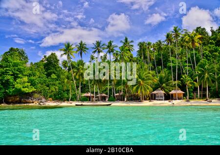 Plage Avec Palmiers, Île De Malenge, Baie De Tomini, Îles Togiennes, Sulawesi, Indonésie Banque D'Images