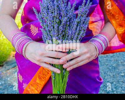 Bouquet de lavande dans les mains d'une femme portant un sari. Nombreux bracelets métalliques décoratifs colorés sur les poignets Banque D'Images