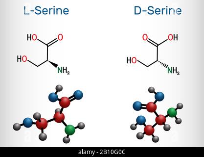 Stéréoisomères de sérine. Molécule d'acide aminé de la D-sérine et de la L-sérine. Formule chimique structurelle et modèle de molécule. Illustration vectorielle Illustration de Vecteur