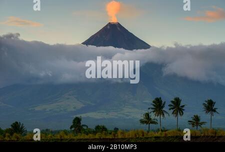 Fumée Du Volcan Mayon, Legazpi, Luzon Du Sud, Philippines Banque D'Images