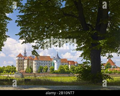 Château de Hartenfels sur l'Elbe à Torgau, Saxe, Allemagne Banque D'Images