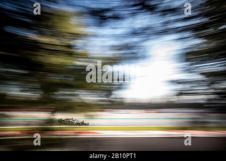 Motorsports: FIA Formule 1 Championnat du monde 2020, Preseason Testing à Barcelone, #26 Daniil Kvyat (RUS, Scuderia AlphaTauri Honda), | usage dans le monde entier Banque D'Images