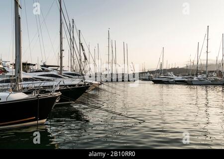 Port Blanc Marina, Palma, Majorque, Iles Baléares, Méditerranée, Espagne, Europe Banque D'Images