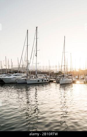 Port Blanc Marina, Palma, Majorque, Iles Baléares, Méditerranée, Espagne, Europe Banque D'Images
