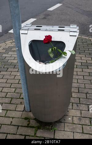 Rose dans la poubelle Banque D'Images