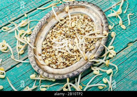 Réglez le grain vert sec et les grains de café ou de café Banque D'Images