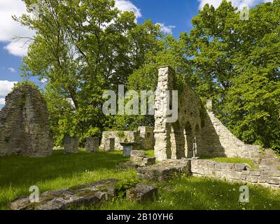 La ruine de l'église Saint-Cyriacus près de Camburg, Thuringe, Allemagne Banque D'Images