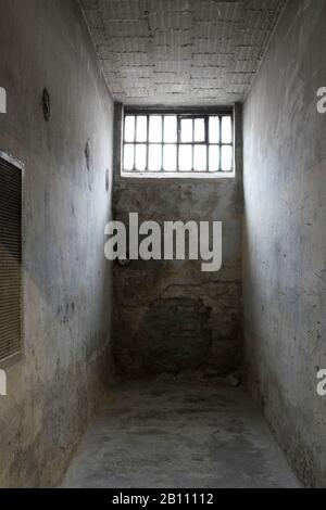 Cellule au sous-sol, aile 'U-Boot', ancienne prison de Stasi, Mémorial de Hohenschönhausen, Berlin, Allemagne Banque D'Images