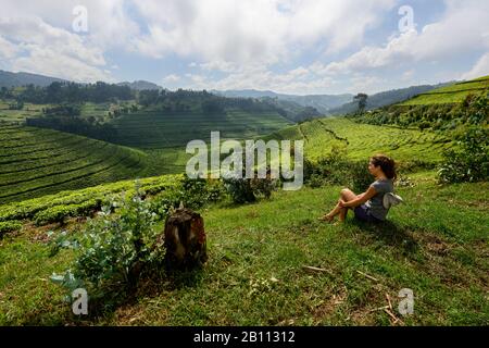 Plantations de thé dans l'ouest du Rwanda, en Afrique Banque D'Images