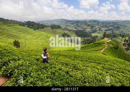 Plantations de thé dans l'ouest du Rwanda, en Afrique Banque D'Images