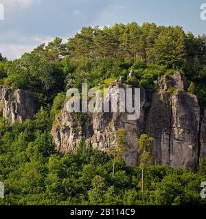 Gerolsteiner Dolomiten, un récif calcaire du Dévonien , Allemagne, Rhénanie-Palatinat, Eifel, Gerolstein Banque D'Images