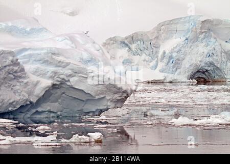 Icebergs dans le détroit de Gerlache, Antarctique Banque D'Images