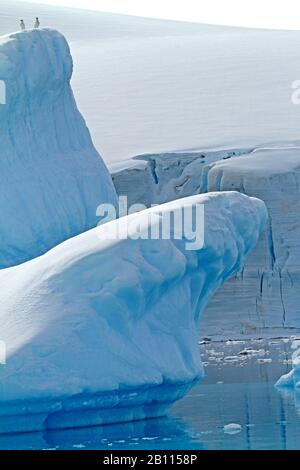 Icebergs dans le détroit de Gerlache, Antarctique Banque D'Images