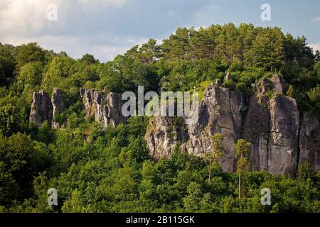 Gerolsteiner Dolomiten, un récif calcaire du Dévonien , Allemagne, Rhénanie-Palatinat, Eifel, Gerolstein Banque D'Images