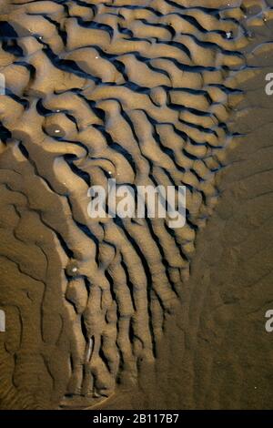 Motifs dans la mer des wadden, Pays-Bas Banque D'Images