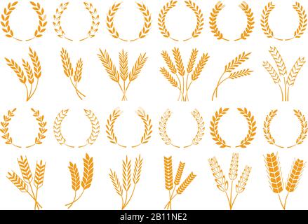 Épis de blé ou d'orge. Récolte du grain de blé, croissance de la tige de riz et des grains de pain ensemble vectoriel isolé Illustration de Vecteur