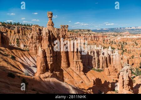 Hoodoos, Thor'S Hammer, Amphithéâtre, Parc National De Bryce Canyon, Utah, États-Unis Banque D'Images