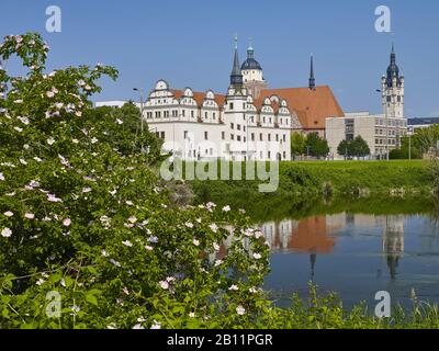 Vue sur la rivière Mulde jusqu'à la Johannbau, l'église de ville et la tour de l'hôtel de ville de Dessau, Saxe-Anhalt, Allemagne Banque D'Images