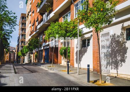 Rue verte étroite dans la ville de Barcelone Banque D'Images