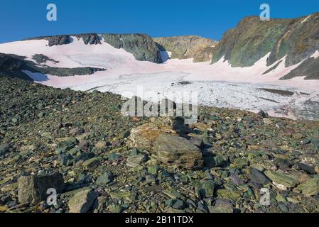 Vue sur le glacier D'IGAN le jour ensoleillé de l'été. Oural Polaire, Russie Banque D'Images