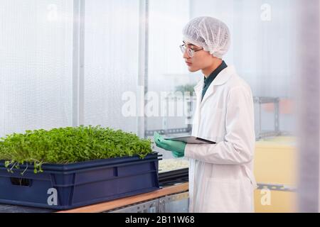 Jeune botaniste asiatique en pelage blanc utilisant une tablette numérique dans son travail avec de jeunes plantes vertes dans le laboratoire Banque D'Images