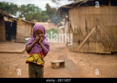 Camp de réfugiés du HCR pour les Fulani, réfugiés de guerre civile de la République centrafricaine, Cameroun, Afrique Banque D'Images