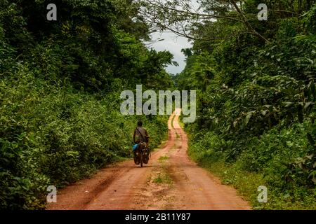 Cyclisme dans la jungle congolaise, République démocratique du Congo, Afrique Banque D'Images