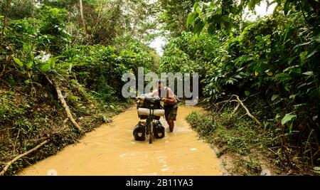 Cyclisme dans la jungle congolaise, République démocratique du Congo, Afrique Banque D'Images