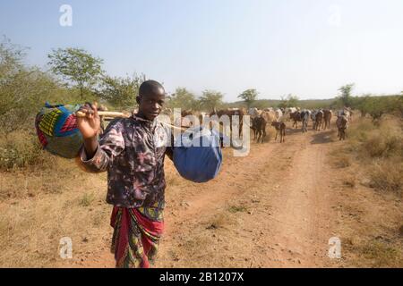 Jeune homme appartenant à des groupes tribaux autochtones dans la province de Cunene, en Angola, en Afrique Banque D'Images