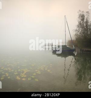 Matin d'automne sur le lac Chiemsee, jetée, voilier et nénuphars dans le brouillard, Bavière, Allemagne Banque D'Images