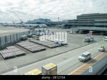 Cinq avions JAL se garer à l'aéroport de Narita avec de nombreux conteneurs de fret sur des casiers à côté. Tokyo Japon 7 Février 2020 Banque D'Images