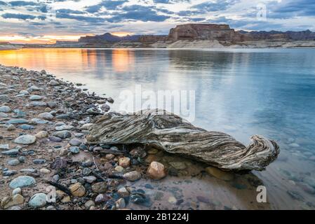 Coucher De Soleil Sur Lone Rock Beach, Page, Lake Powell, Colorado River, Arizona, États-Unis Banque D'Images