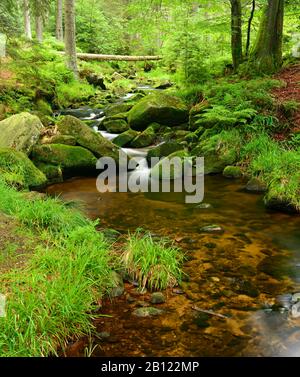 Au sommet de la Bode, Bergbach, rochers couverts de mousse dans les montagnes Harz, près de Braunlage, Basse-Saxe, Allemagne Banque D'Images