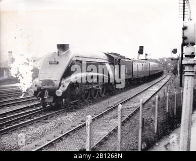 Photo noir et blanc vintage du train de locomotives à vapeur - 50 - 60033 à la gare New Southgate 29 juillet 1956. Banque D'Images