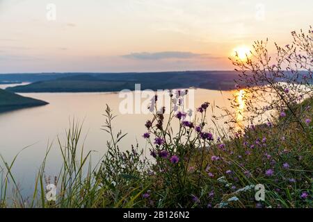 Une belle vue panoramique d'un coucher de soleil rose sur un grand lac lors d'une journée d'été. Il y a des fleurs sauvages roses devant cette image de la nature. Banque D'Images