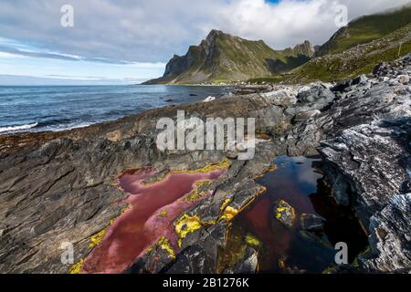 Côte À Vikten, Lofoten, Norvège Banque D'Images