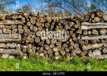 Cheminée de séchage de grumes de chêne pour le chauffage domestique - Indre-et-Loire, France. Banque D'Images