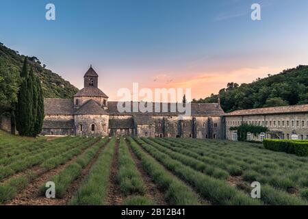 Coucher du soleil au monastère Notre-Dame de Sénanque à Gordes, Provence, Sud de France Banque D'Images