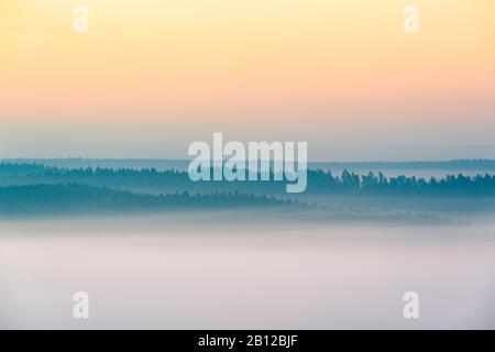 Lever du soleil à la Szinérváralja, brouillard, automne, Thuringe, Allemagne