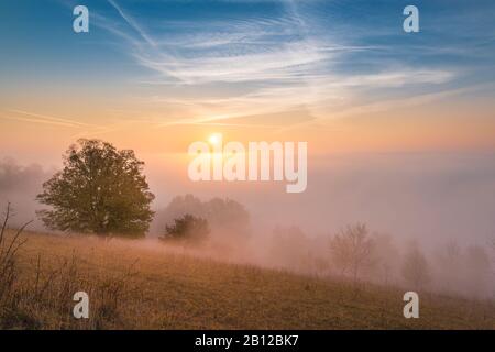 Lever du soleil à la Szinérváralja, brouillard, automne, Thuringe, Allemagne