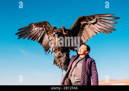 Avec mongol cinereous vulture (Platycnemis monachus), la Mongolie Banque D'Images