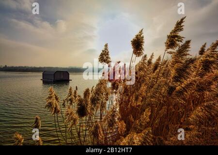 Le matin dans le lac Banque D'Images