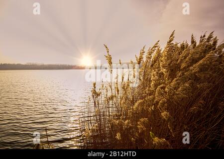 Le matin dans le lac Banque D'Images